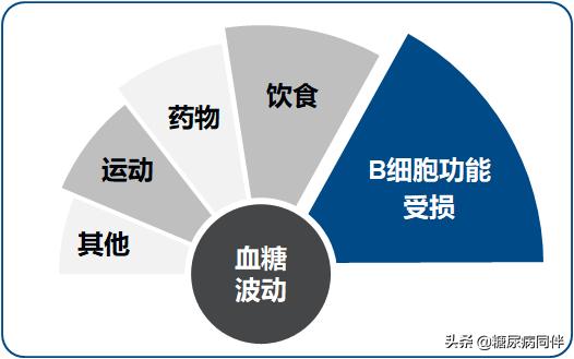 血糖波动与β细胞——从基础到临床