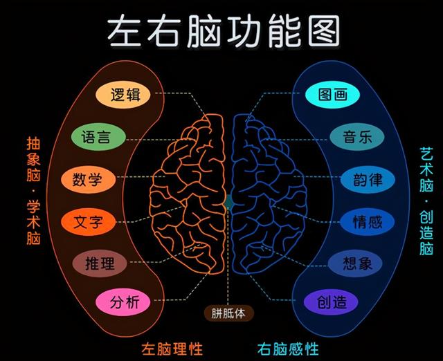 孩子有3种表现，说明右脑开发程度很高，将来更容易成为学霸