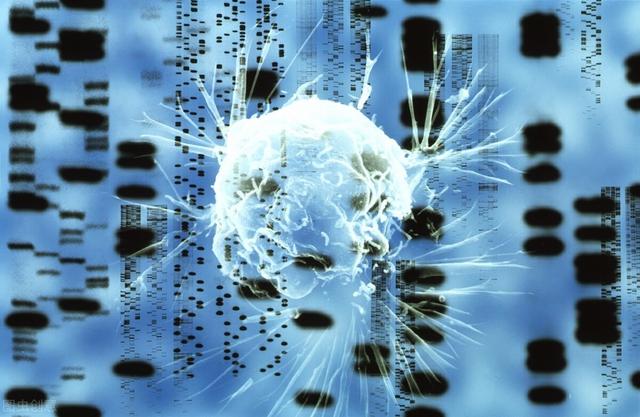 肺癌出现这 3 种情况，需要做第二次基因检测