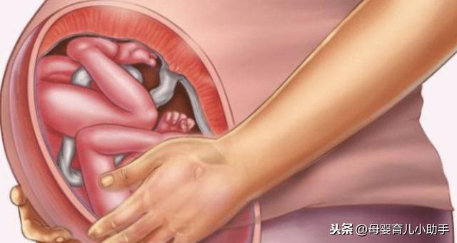 懵懂德年纪|胎儿大脑发育有3个黄金时间，孕妈把握住了，宝宝定会是高智商