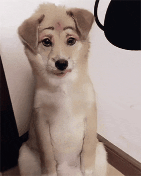 搞笑gif: 女汉子你都敢惹?活腻了吧