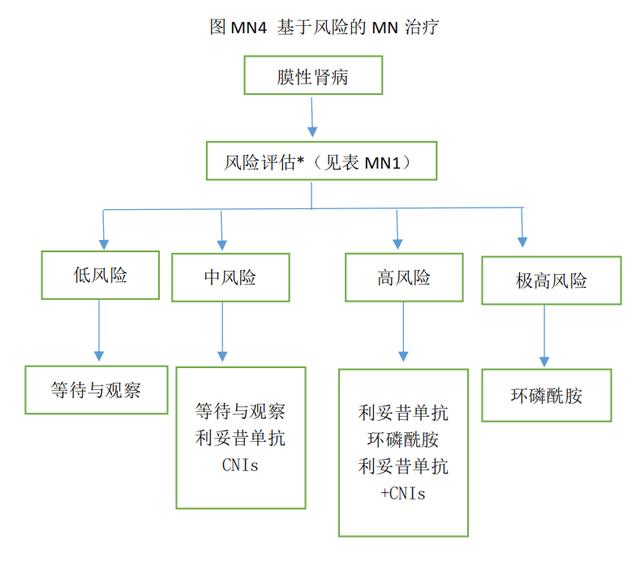 靶向药利妥昔单抗，进军肾病一线药物！膜性肾病换新天