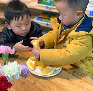 你的育儿经|家有小“贤”人
