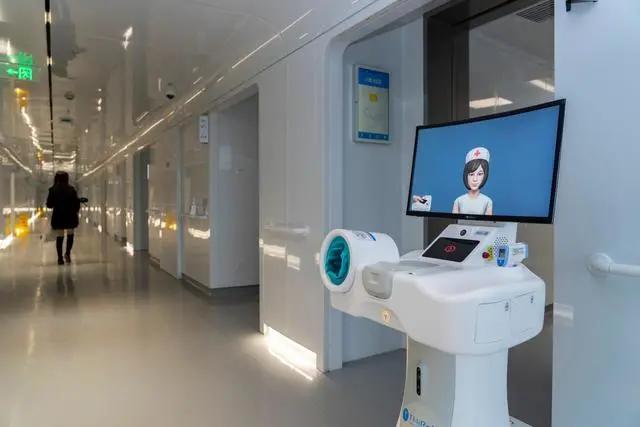 长三角|你有一份来自长三角的健康养生秘笈，请注意查收