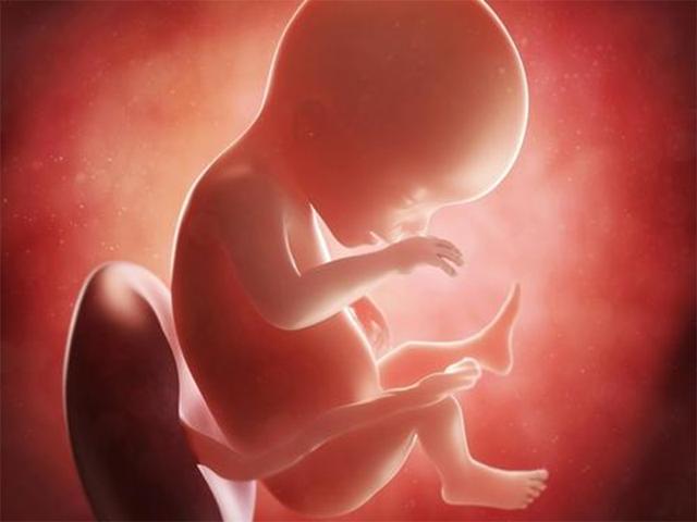 甜蜜岁月|宝宝真的有“宫内记忆”吗？宝妈：我4岁女儿的话，让我瑟瑟发抖