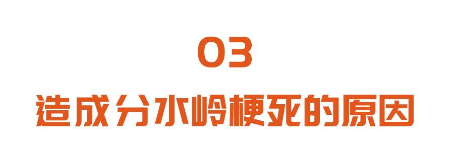 大脑|这种特殊的脑梗塞，隐匿性强、反复发作危害大！有这些症状要小心