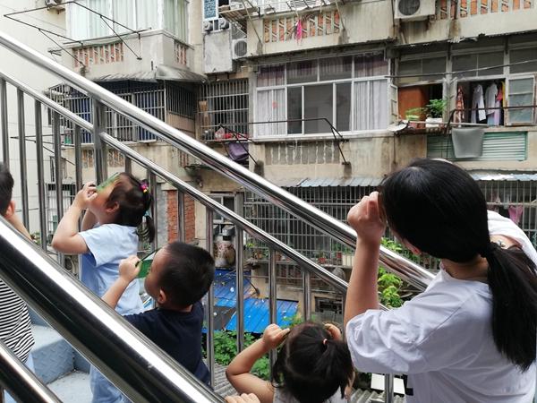 我们的那些年|迎江区四照园小学幼儿园开展“一人一课”教研活动