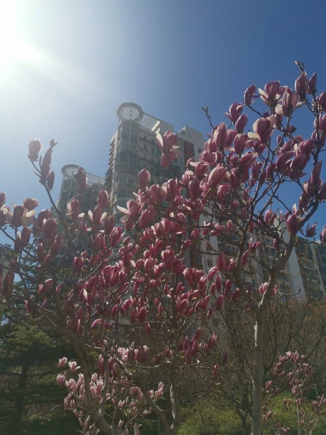 「你的育儿经」值得纪念的一天