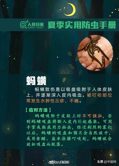 女士|3岁女儿脸上有飞虫，妈妈本能地一拍！第二天孩子的脸又肿又红