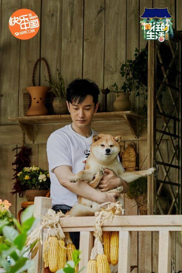 黄晓明《向往4》里“认真减肥”蘑菇屋中惊闻“再来一块”|环球网