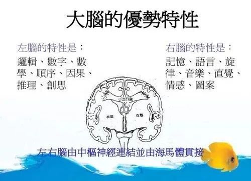暖先生格调▲为什么要趁孩子7岁前送他去学钢琴？
