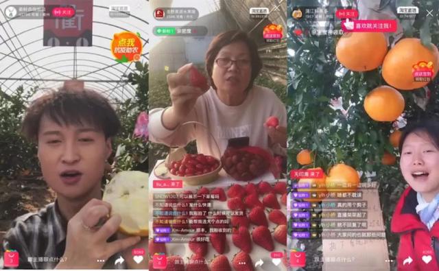 经济之声▲互联网抗“疫”进行时：滞销果蔬的“逆袭”之旅