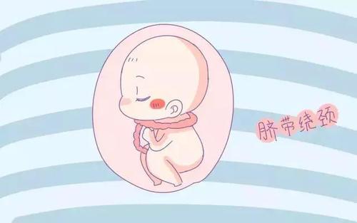「你的育儿经」和妈妈合体的日子，胎儿在肚子里都做些啥？原来活动竟如此丰富