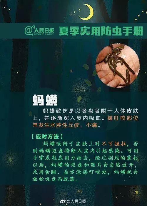 小琳|清明出游后腿上多了几个红斑！医生紧急提醒