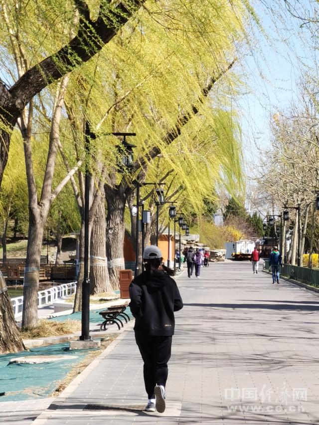 湿气|夏季总感觉头晕脑胀？可能是湿气太重