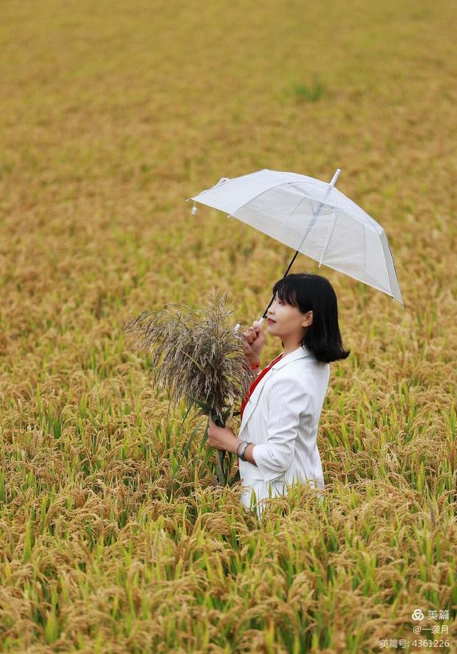 优雅女子，邂逅深秋