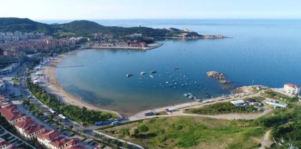 扇贝|威海春日山海滋味，等你来品