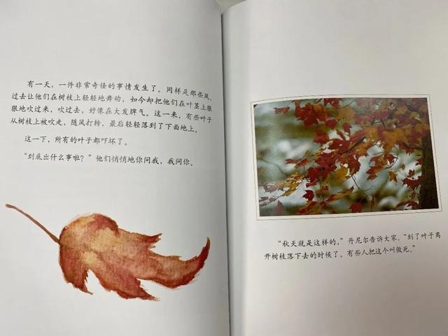 『上观新闻』家里的自然课(二十五)︱从自然绘本中读出生命存在的意义