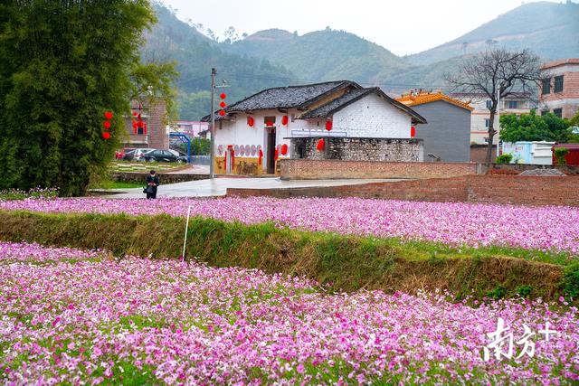 5G遇上罗定，会碰撞出什么火花？邀你来look