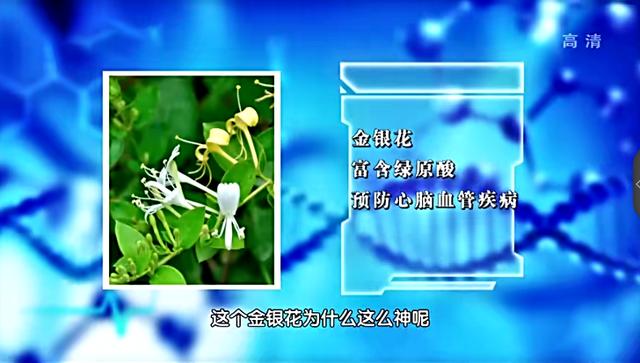 血管|它比癌症可怕！专家揭秘“三块五”保命秘方