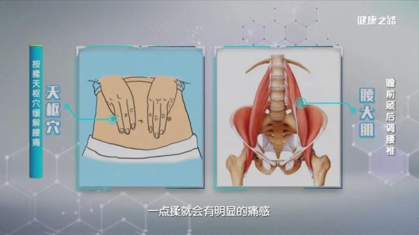 常被腰部疼痛困扰？疼痛科专家教您另辟蹊径调理有方