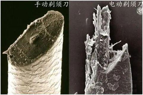 剃须|小米家招牌剃须刀，日销1000单，办公室的男生都沦陷了