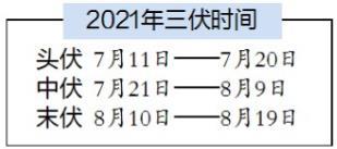 疾病|“冬病夏治”三伏贴了解下