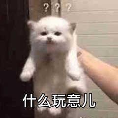 『勇哥科技』三星连发四机，最便宜折叠屏面世，1亿像素S20系列随时可以登月