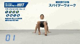 你的育儿经@我要一步一步往上爬!