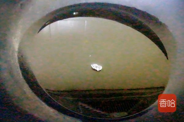 3碗白饭不如1口它！寒冬里多吃这种主食，好消化更营养