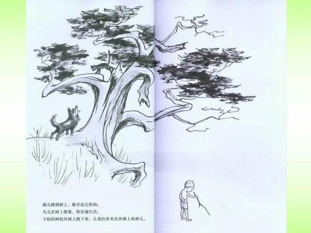 超级宝妈■「家园直通车」南平市建阳区第二实验幼儿园小天鹅空中课堂第九辑——大班段
