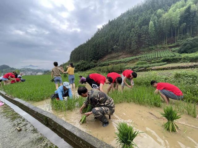 义乌|暑期实践 | 插秧除草、驰援河南、探访市场党建……浙商大学子这样开展暑期实践