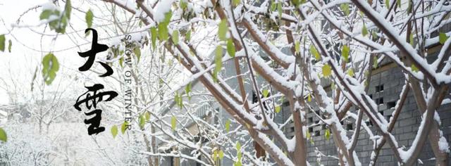 二十四节气 · 大雪 | 新品发布