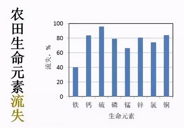 找到自愈癌症的神秘钥匙：他治愈了20多个癌症案例