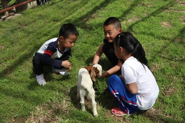 超级宝妈▲这4个不良习惯,会让孩子变得“越来越丑”,你家孩子中招没?