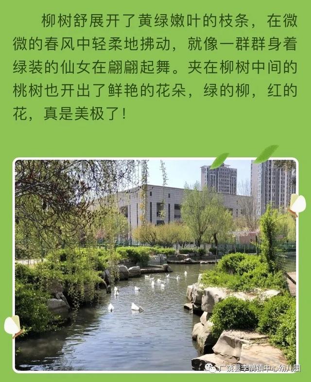 齐鲁黄河从这里入海▲隔空示爱，鹊幼在行动（大班年级组）