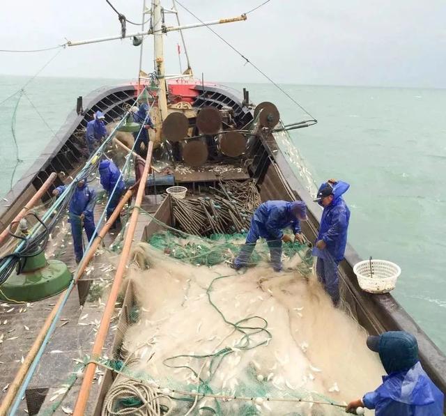 长兴岛第一家海鲜新风味的餐厅，你拔草了吗？