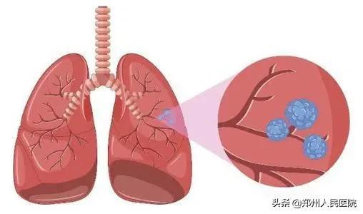 大咖助阵！专业高效，引发频频点赞