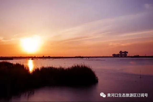 「趣旅游」每日一景 |春的律动