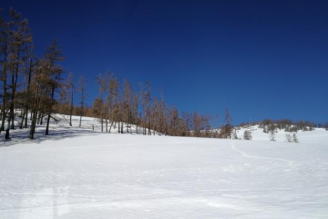 玩乐足迹@喀纳斯你真的去过么?确定不是路过!