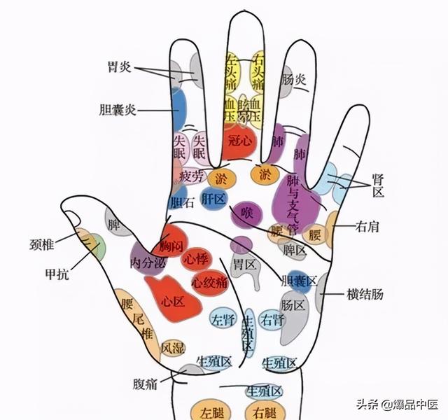 手诊百病解析图