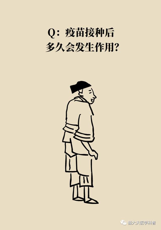 新冠疫苗谁能打？打了能管多久？……你最关心的问题这里有权威答案