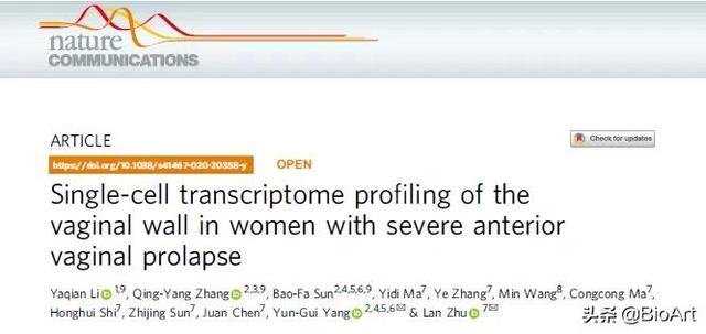 Nat Commun | 女性重度阴道前壁脱垂细胞图谱特征等