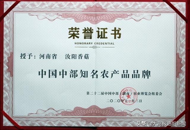 "汝阳香菇"历史悠久,在清朝道光十八年编撰的《伊阳县志》中即有记载.