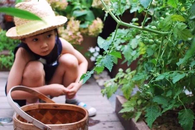 她和5岁女儿耗时2年，打造南京最美屋顶花园，惊艳园艺圈