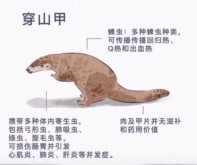 你的育儿经@理性一点，如何教育孩子正确认识小动物