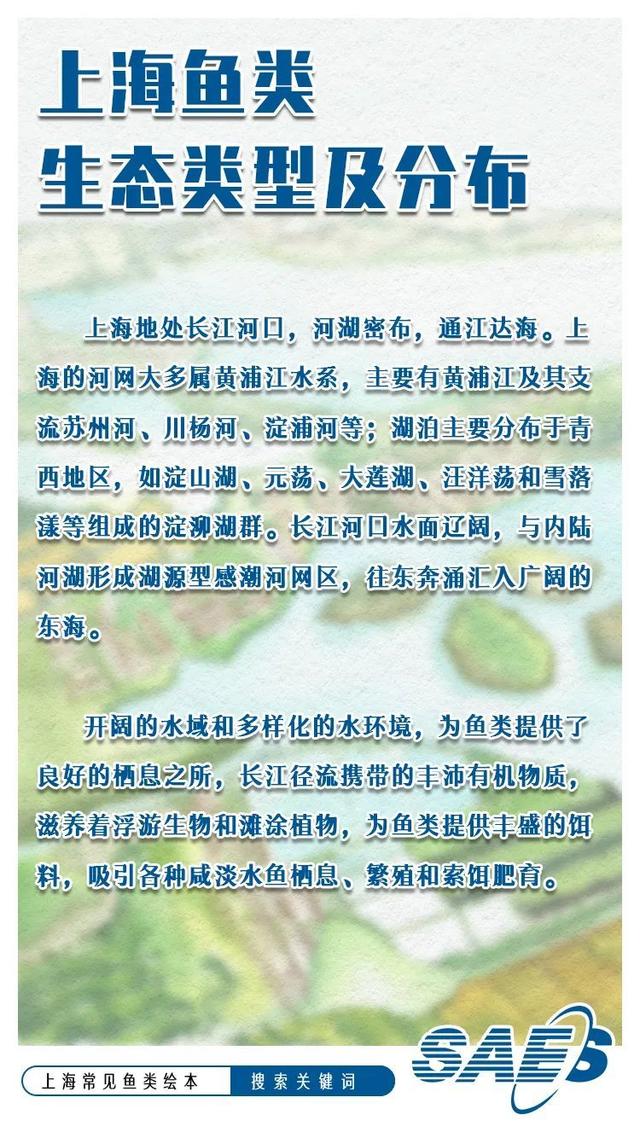 又双叒叕！《上海常见鱼类绘本》重磅出炉