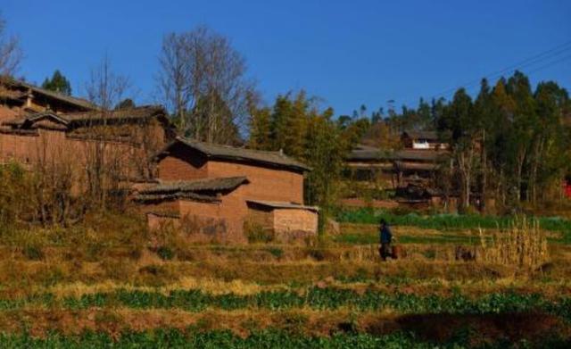 乡土散文：走失的原野