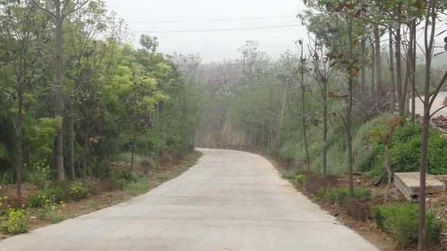 郑州周边5条自驾游距离短风景好的线路推荐