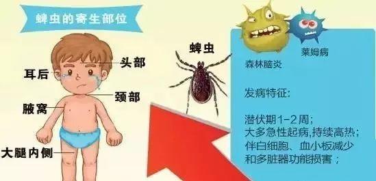 「你的育儿经」注意！身上出现这个“黑点”非常危险，六安已有人中招...